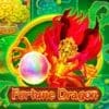 Fortune Dragon
