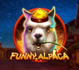 Funny Alpaca
