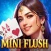 MINI FLUSH
