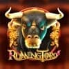 Running Toro