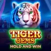 Tiger Gems