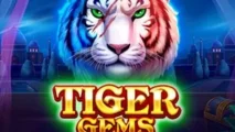 Tiger Gems
